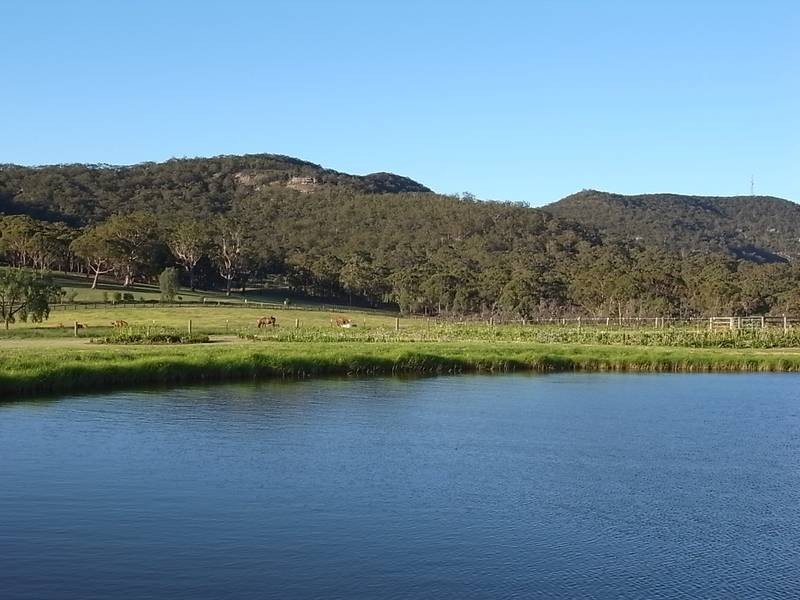 317 Rosemount Road, Denman NSW 2328
