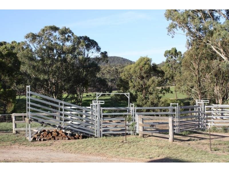317 Rosemount Road, Denman NSW 2328