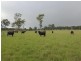 8567 New England Highway, Muswellbrook NSW 2333