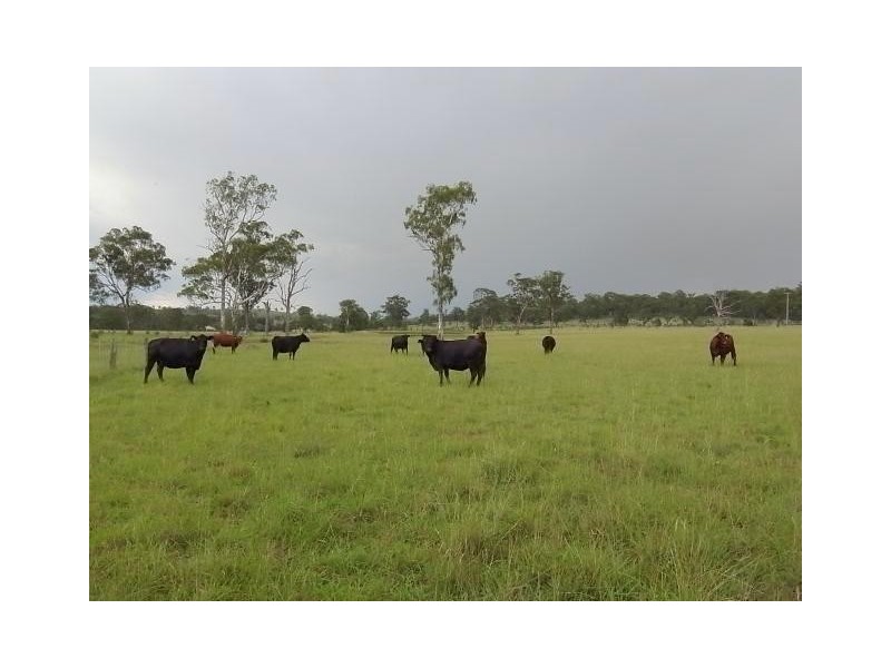 8567 New England Highway, Muswellbrook NSW 2333