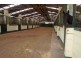 619 Bylong Valley Way, Sandy Hollow NSW 2333