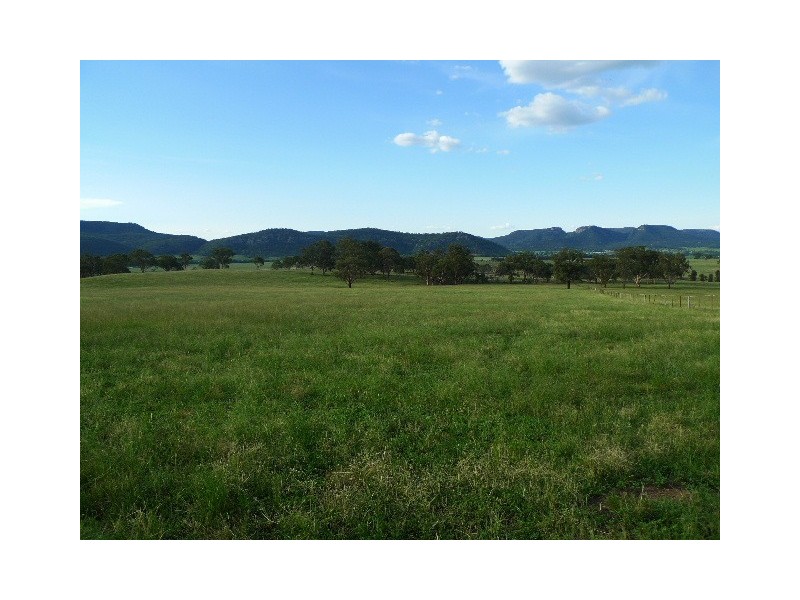 619 Bylong Valley Way, Sandy Hollow NSW 2333