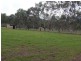 619 Bylong Valley Way, Sandy Hollow NSW 2333