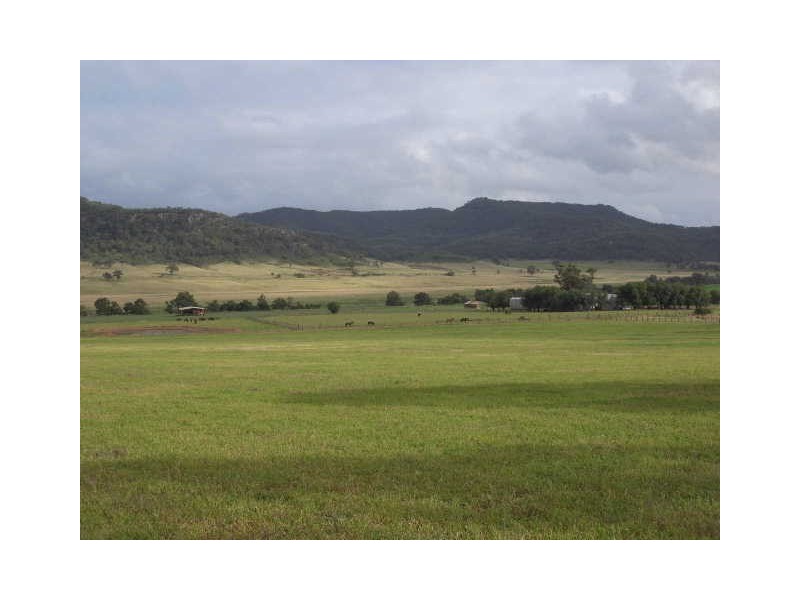 619 Bylong Valley Way, Sandy Hollow NSW 2333