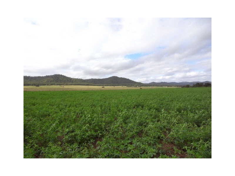 619 Bylong Valley Way, Sandy Hollow NSW 2333