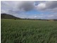 619 Bylong Valley Way, Sandy Hollow NSW 2333