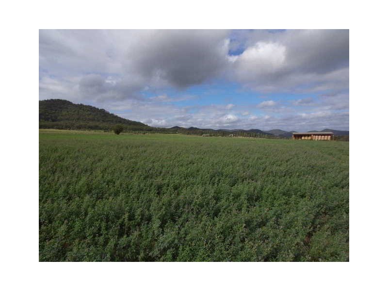 619 Bylong Valley Way, Sandy Hollow NSW 2333
