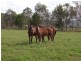 619 Bylong Valley Way, Sandy Hollow NSW 2333