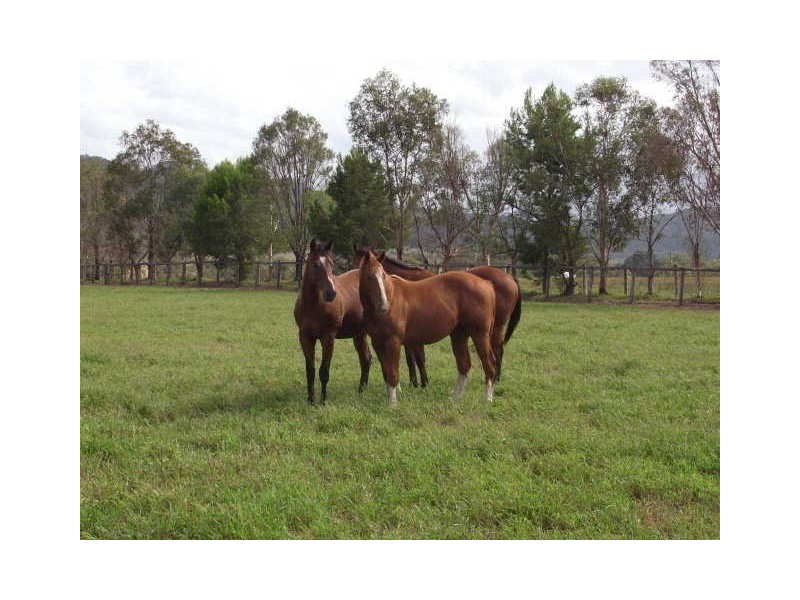 619 Bylong Valley Way, Sandy Hollow NSW 2333