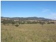 763 Muscle Creek Road, Muscle Creek NSW 2333