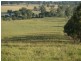 763 Muscle Creek Road, Muscle Creek NSW 2333