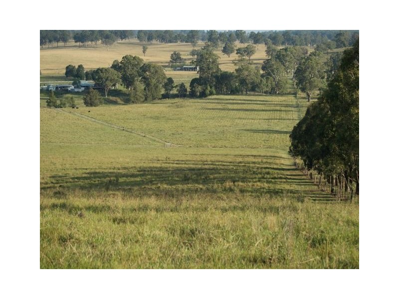 763 Muscle Creek Road, Muscle Creek NSW 2333