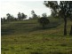763 Muscle Creek Road, Muscle Creek NSW 2333
