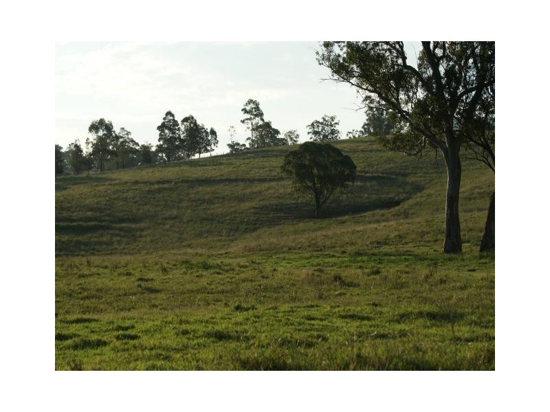 763 Muscle Creek Road, Muscle Creek NSW 2333