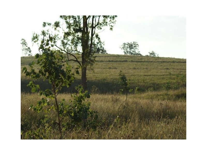763 Muscle Creek Road, Muscle Creek NSW 2333