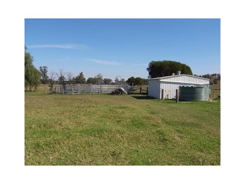 763 Muscle Creek Road, Muscle Creek NSW 2333