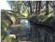 763 Muscle Creek Road, Muscle Creek NSW 2333