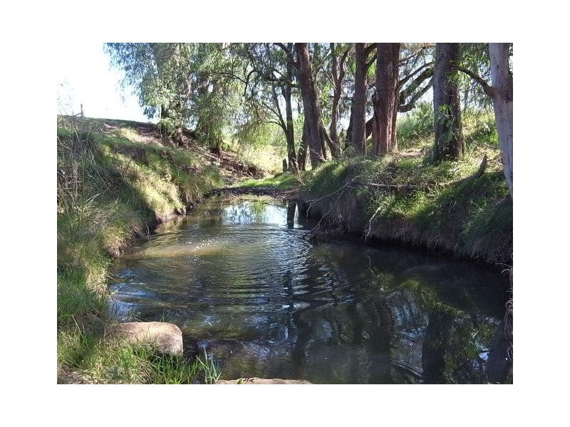 763 Muscle Creek Road, Muscle Creek NSW 2333