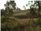 763 Muscle Creek Road, Muscle Creek NSW 2333
