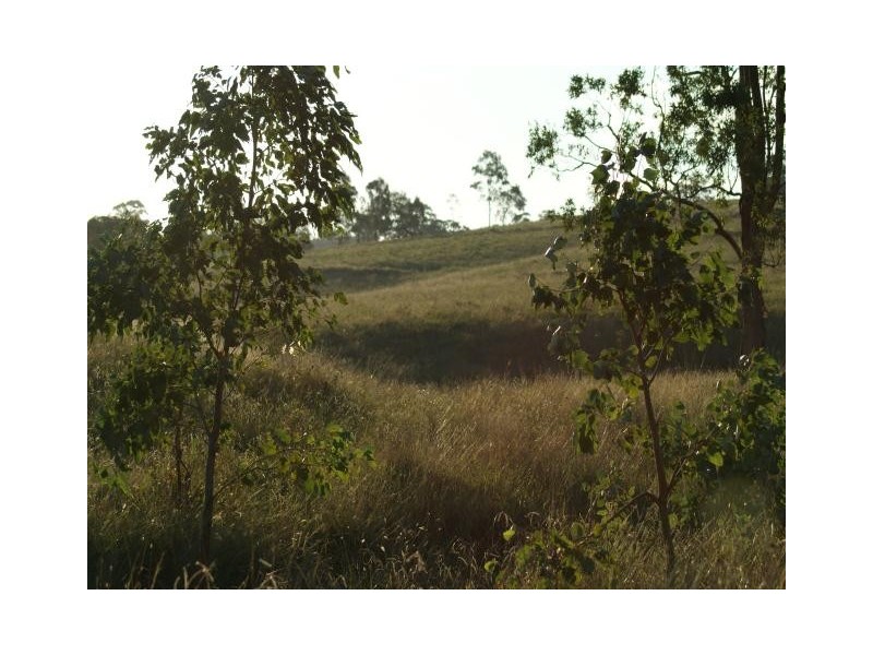 763 Muscle Creek Road, Muscle Creek NSW 2333