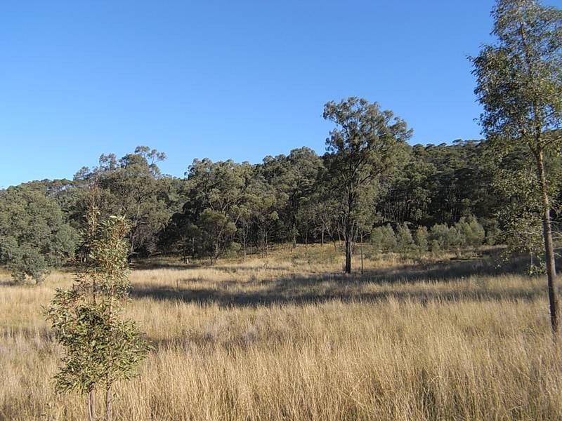 Wybong Road, Hollydeen NSW 2328