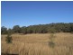Wybong Road, Hollydeen NSW 2328
