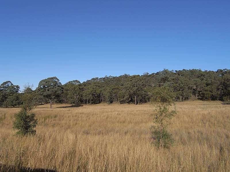 Wybong Road, Hollydeen NSW 2328