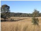 Wybong Road, Hollydeen NSW 2328