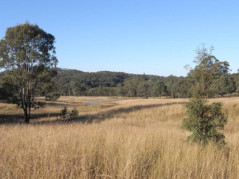 Wybong Road, Hollydeen NSW 2328