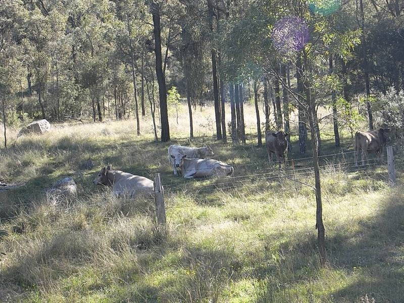 260 Hidden Valley R.O.W, Ridgelands Rd, Wybong NSW 2333