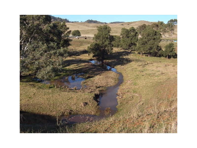 119 Dolahenty’s Road, Mccullys Gap NSW 2333