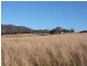 119 Dolahenty’s Road, Mccullys Gap NSW 2333