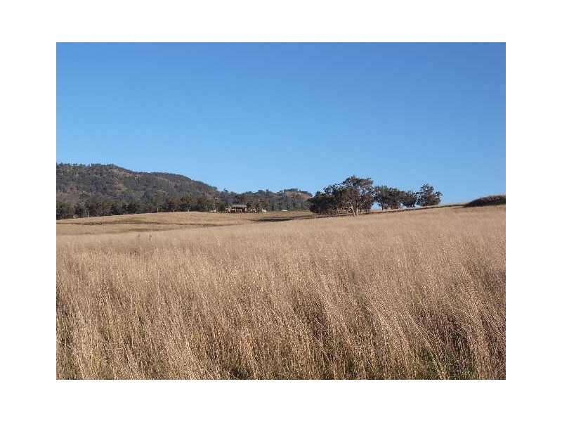 119 Dolahenty’s Road, Mccullys Gap NSW 2333