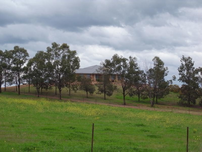 Lot 4,  Trig Point Estate, Brushy Hill Road, Segenhoe NSW 2337