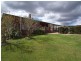 201 Wells Gully Road, Muswellbrook NSW 2333