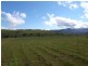 Lot 5 Trig Point Estate, Glenbawn Rd, Segenhoe NSW 2337