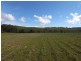 Lot 5 Trig Point Estate, Glenbawn Rd, Segenhoe NSW 2337