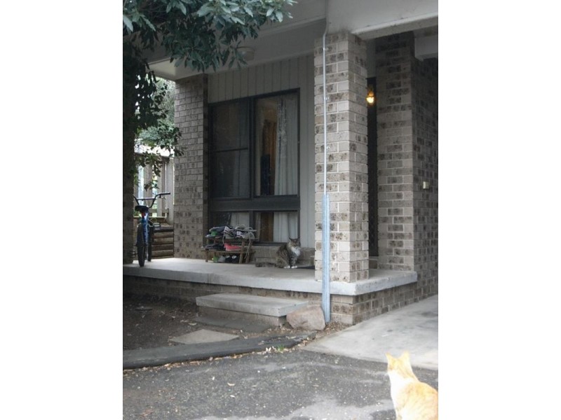 3/41A Brentwood Gardens, Muswellbrook NSW 2333