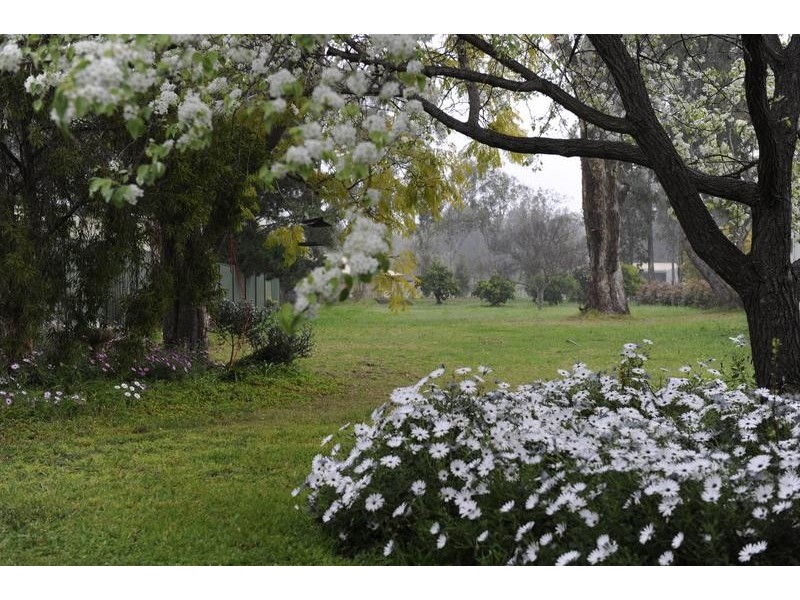 28 Satur Road, Scone NSW 2337