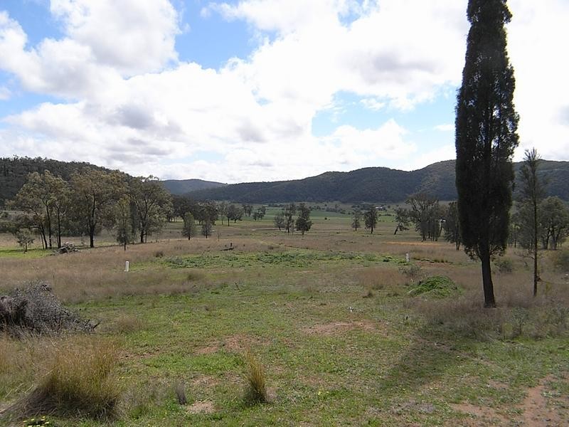 Lot 101,  Yarraman Road, Wybong NSW 2333