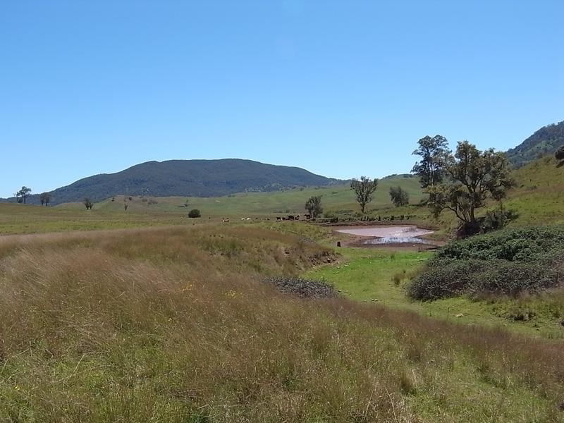 Sandy Creek Road, Mccullys Gap NSW 2333