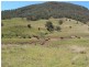 Sandy Creek Road, Mccullys Gap NSW 2333