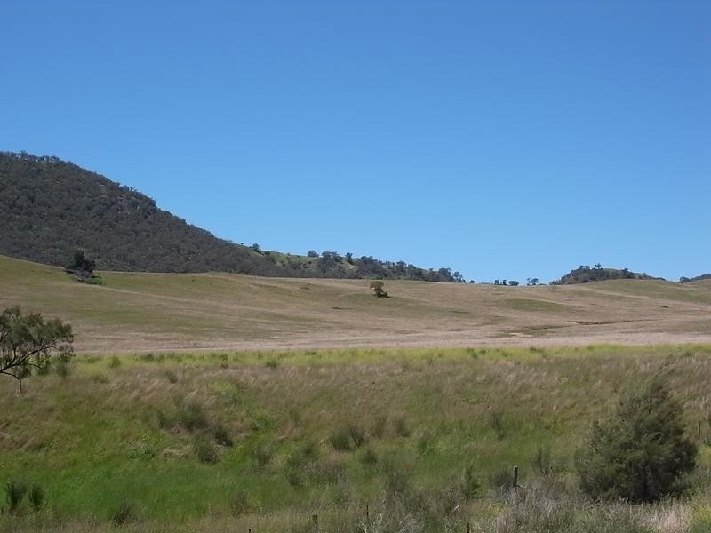 Sandy Creek Road, Mccullys Gap NSW 2333