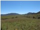 Sandy Creek Road, Mccullys Gap NSW 2333