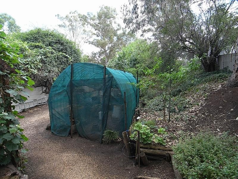 86 Brook Street, Muswellbrook NSW 2333