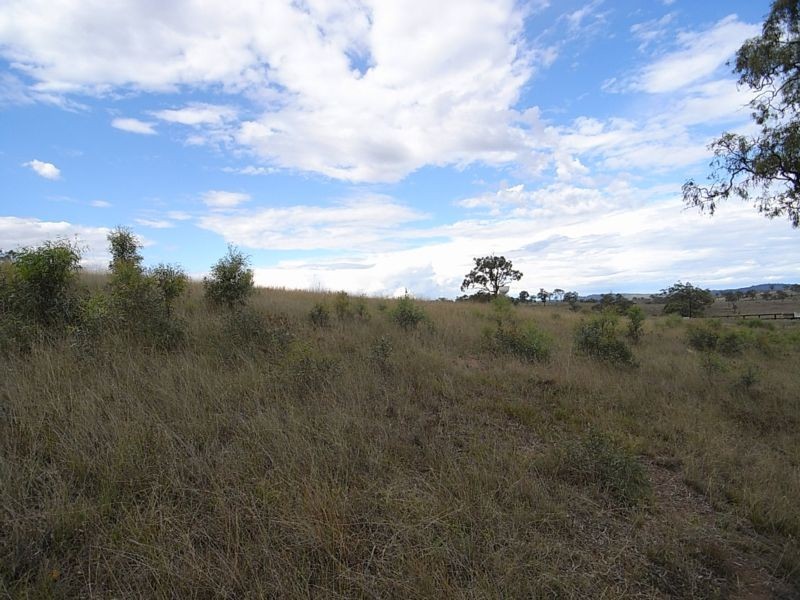 Lot 117,  Ironbark Road, Ironbark Ridge Estate, Muswellbrook NSW 2333