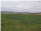 Dalswinton Road, Denman NSW 2328