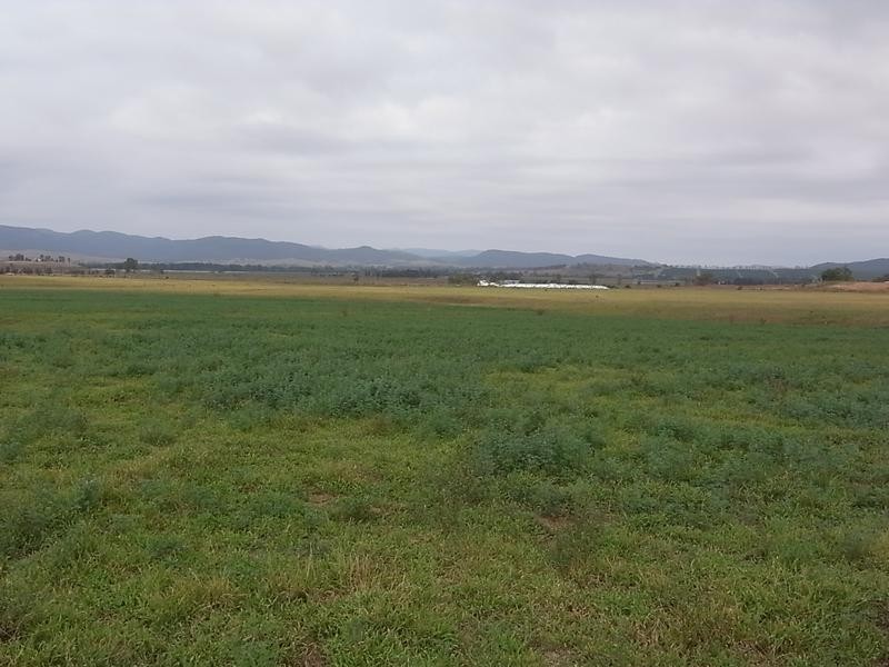 Dalswinton Road, Denman NSW 2328