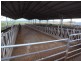 Dalswinton Road, Denman NSW 2328