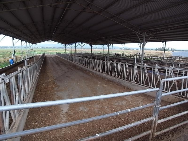 Dalswinton Road, Denman NSW 2328